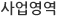 사업영역