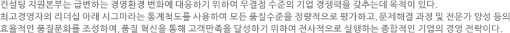 컨설팅 지원본부는 급변하는 경영환경 변화에 대응하기 위하여 무결점 수준의 기업 경쟁력을 갖추는데 목적이 있다. 최고경영자의 리더십 아래 시그마라는 통계척도를 사용하여 모든 품질수준을 정량적으로 평가하고, 문제해결 과정 및 전문가 양성 등의 효율적인 품질문화를 조성하며, 품질 혁신을 통해 고객만족을 달성하기 위하여 전사적으로 실행하는 종합적인 기업의 경영 전략이다.